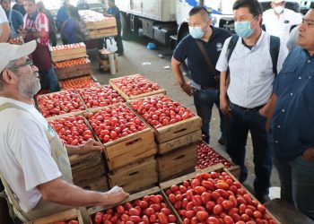Ministerio de Agricultura verifica precios de canasta básica en La Tiendona