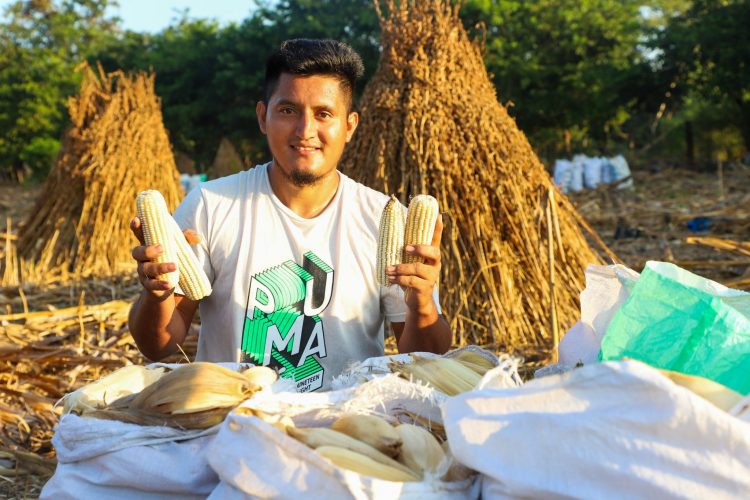 Los productores deben inscribirse en piatec.mag.gob.sv para acceder al paquete agrícola.