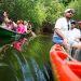 Conmemoran el Día de la Tierra con jornadas de limpieza y reforestación
