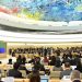 Periodista estadounidense pregunta por qué no se ha expulsado a EE. UU. de Consejo de Derechos Humanos de ONU