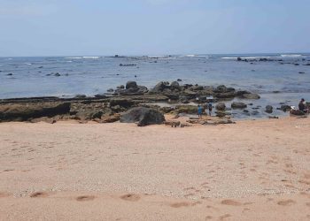 Los Cóbanos: un paraíso protegido