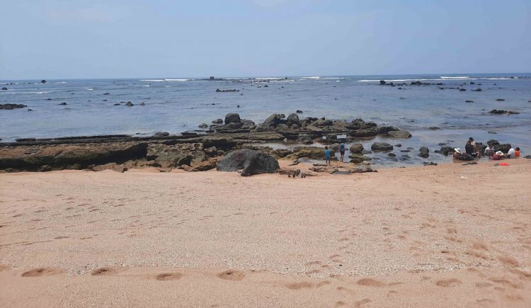 Los Cóbanos está situada en Acajutla, Sonsonate. Es parte de la única Área Natural Protegida del país que tiene un arrecife de coral. Foto: María José Saavedra.
