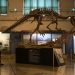 Megaraptor carnívoro de mayor tamaño hallado en el sur de Argentina