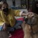 En retorno a clases marcado por la violencia en Chile, perros ayudan a aliviar el estrés
