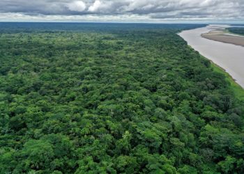 Amazonía brasileña registra deforestación récord para mes de abril