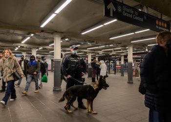 Detenido presunto autor del último homicidio en el metro de Nueva York