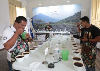 Inicia la ruta hacia el certamen Taza de la Excelencia 2022