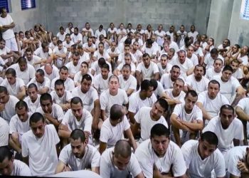 Jueces resuelven que 921 pandilleros y colaboradores continúen recluidos en penales