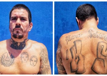 Detienen a pandillero deportado de EE. UU. y puesto en libertad por el sistema judicial anterior