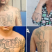 Casi 500 pandilleros fueron capturados este martes, informa la Policía Nacional Civil