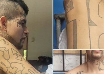 Policía recaptura al «Payaso», pandillero que delinquía en el Puerto de La Libertad