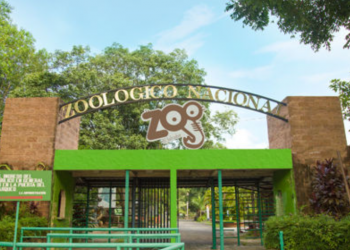 Asamblea aprueba Ley Transitoria de Compensación Económica para los trabajadores del Parque Zoológico Nacional
