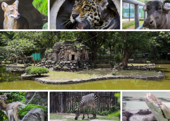 Zoológico Nacional cierra sus puertas de forma permanente para una vida digna de los animales