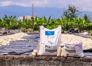 Ministerio de Agricultura habilita sitio para consultar entrega de paquetes agrícolas en El Salvador