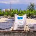Ministerio de Agricultura habilita sitio para consultar entrega de paquetes agrícolas en El Salvador