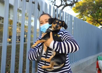 Asamblea Legislativa seguirá fortaleciendo la ley que protege a los animales
