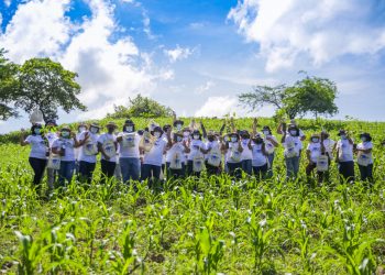Medio Ambiente está por lanzar la segunda fase del programa Árboles para El Salvador