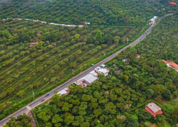 Ministerio de Obras Públicas entrega proyecto de renovación de la Ruta de las Flores