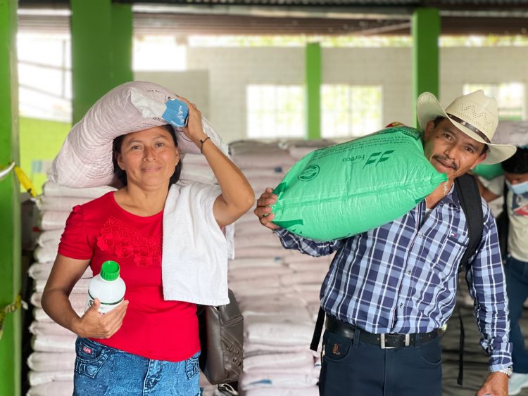 Los paquetes contienen 22 libras de semilla mejorada, tratador de semillas y fertilizante foliar./Foto: Diario El Salvador.