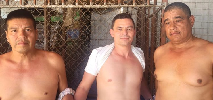 Foto / PNC