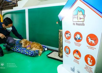 Dirección Nacional de Medicamentos habilita espacio pet friendly
