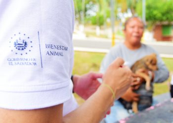 El Instituto de Bienestar Animal desarrollará un censo nacional de animales en 2023