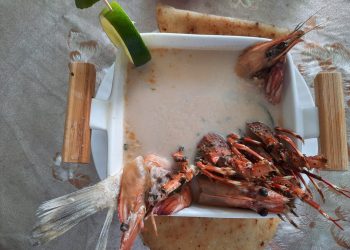 Mañana se llevará a cabo el festival del marisco en La Unión
