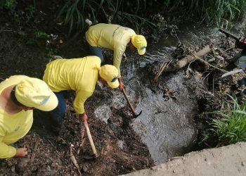 Desarrollan jornada de limpieza en el río San Pedro
