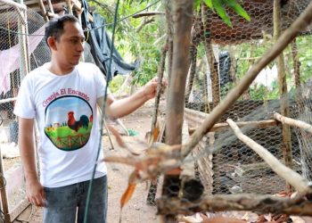 El Centa fortalece proyectos familiares