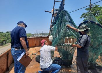 Verifican el cumplimiento de la veda del camarón en Puerto El Triunfo, Usulután