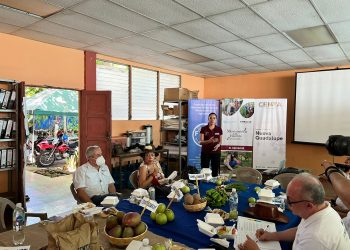 Familias productoras salvadoreñas reciben apoyo de México