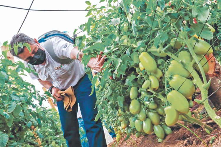 Foto/ Diario El Salvador.
