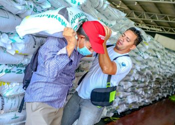 La buena calificación que tiene la gestión del presidente Nayib Bukele es por obras ejecutadas