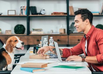 En Canadá, los perros van a trabajar con sus dueños