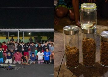 Más de 20,000 unidades de droga incautadas a maras bajo el régimen de excepción