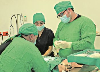 El Hospital Chivo Pets ha brindado más de 20,000 atenciones en dos meses de funcionamiento