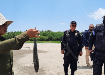 Mortandad de peces fue causada por uso de explosivos para la pesca en Conchagua, La Unión
