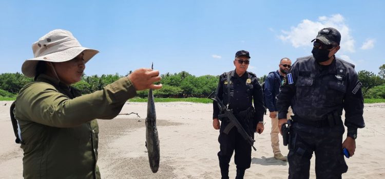 Foto: Diario El Salvador  / Juan Carlos Díaz