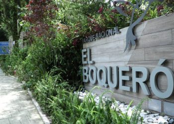 El Boquerón: comida, diversión y entretenimiento