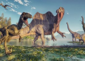 La mayoría de los dinosaurios tenían sangre caliente, como las aves