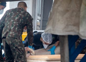 Bolsonaro dice que hallaron «vísceras humanas» en búsqueda por los dos desaparecidos en Amazonía