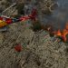Los incendios ganan terreno en España en el último día de la ola de calor