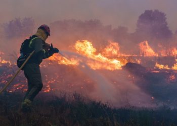 Controlado gran incendio en el noroeste de España tras ola de calor