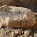 Descubierta una tortuga con un huevo en las ruinas de Pompeya