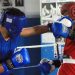 El boxeo y taekwondo se preparará en República Dominicana