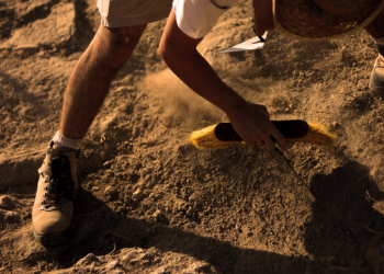 Egipto descubre fósil de dinosaurio de hace 98 millones de años