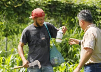 Gobierno de El Salvador brinda asesoría técnica a agricultores