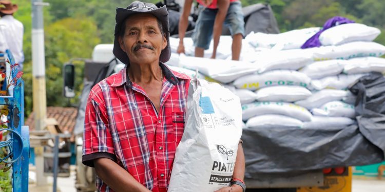 Entregan Paquetes Agrícolas A Productores En Chalatenango – Diario El ...