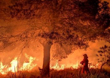 Unas 2,000 personas evacuadas por violento incendio en el sur de España