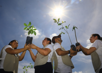 Global Developers comprometida con el medio ambiente de Chanmico
